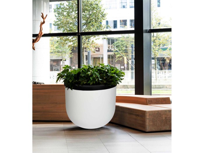 Hardy Siyah Beyaz Saksı